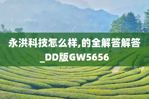 永洪科技怎么样,的全解答解答_DD版GW5656