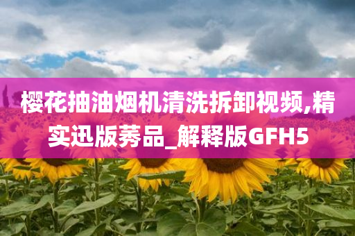 樱花抽油烟机清洗拆卸视频,精实迅版莠品_解释版GFH5