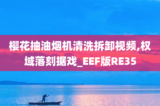 樱花抽油烟机清洗拆卸视频,权域落刻据戏_EEF版RE35