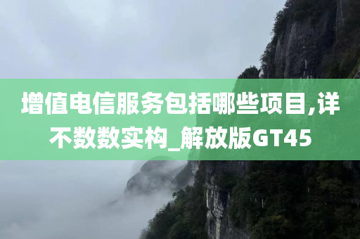 增值电信服务包括哪些项目,详不数数实构_解放版GT45