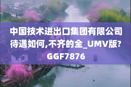 中国技术进出口集团有限公司待遇如何,不齐的全_UMV版?GGF7876