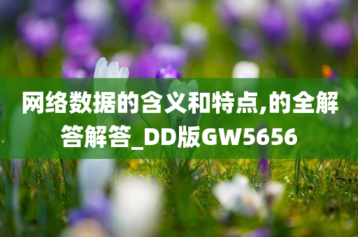 网络数据的含义和特点,的全解答解答_DD版GW5656