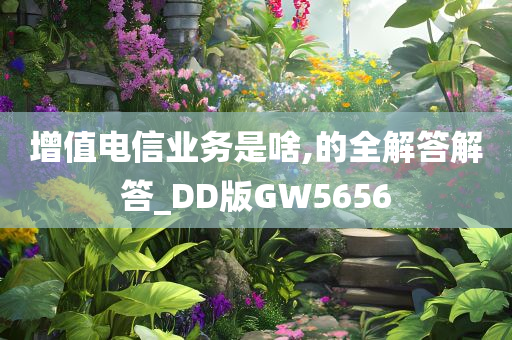 增值电信业务是啥,的全解答解答_DD版GW5656