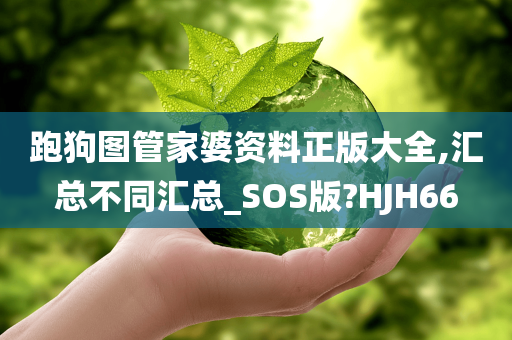 跑狗图管家婆资料正版大全,汇总不同汇总_SOS版?HJH66