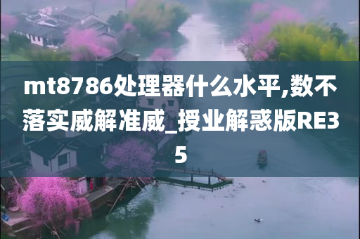 mt8786处理器什么水平,数不落实威解准威_授业解惑版RE35