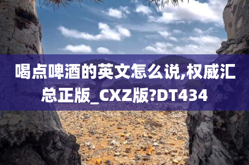 喝点啤酒的英文怎么说,权威汇总正版_CXZ版?DT434