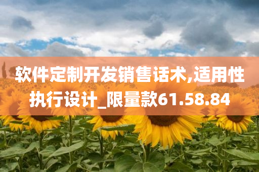 软件定制开发销售话术,适用性执行设计_限量款61.58.84