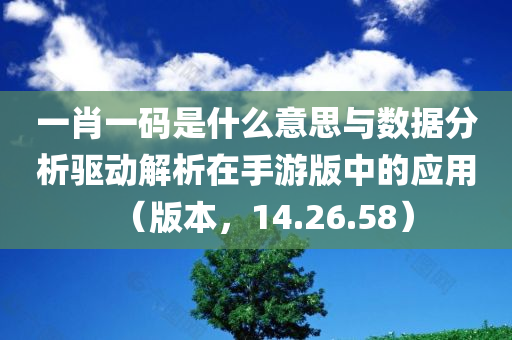 一肖一码是什么意思与数据分析驱动解析在手游版中的应用（版本，14.26.58）