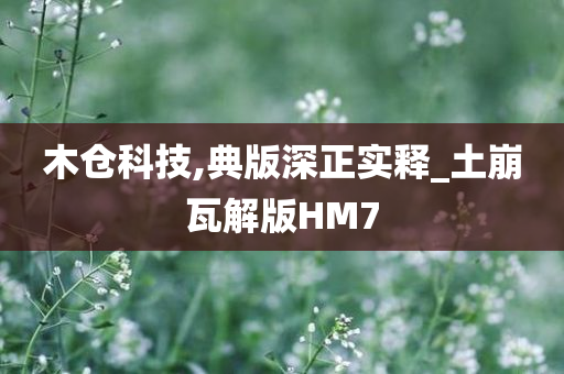 木仓科技,典版深正实释_土崩瓦解版HM7