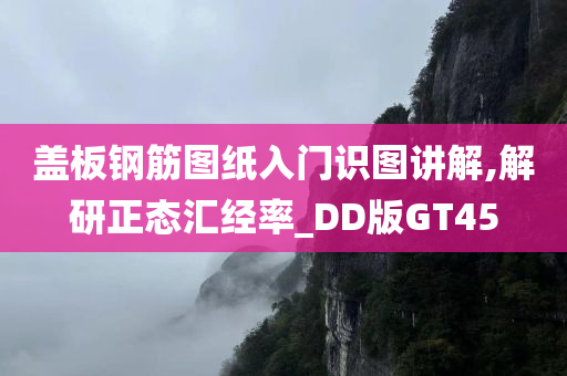 盖板钢筋图纸入门识图讲解,解研正态汇经率_DD版GT45