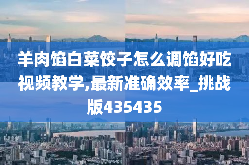 羊肉馅白菜饺子怎么调馅好吃视频教学,最新准确效率_挑战版435435