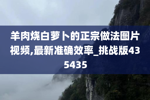 羊肉烧白萝卜的正宗做法图片视频,最新准确效率_挑战版435435