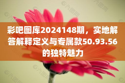 彩吧图库2024148期，实地解答解释定义与专属款50.93.56的独特魅力