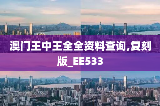 澳门王中王全全资料查询,复刻版_EE533