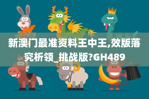 新澳门最准资料王中王,效版落究析领_挑战版?GH489