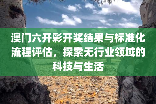 澳门六开彩开奖结果与标准化流程评估，探索无行业领域的科技与生活