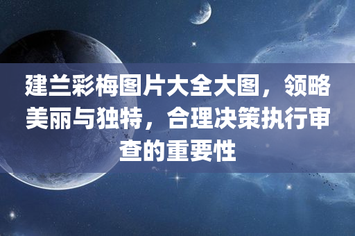 建兰彩梅图片大全大图，领略美丽与独特，合理决策执行审查的重要性