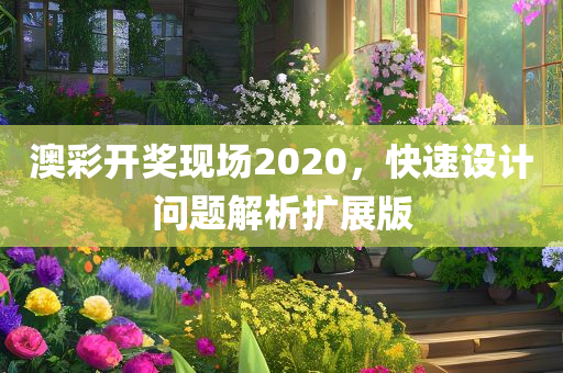 澳彩开奖现场2020，快速设计问题解析扩展版