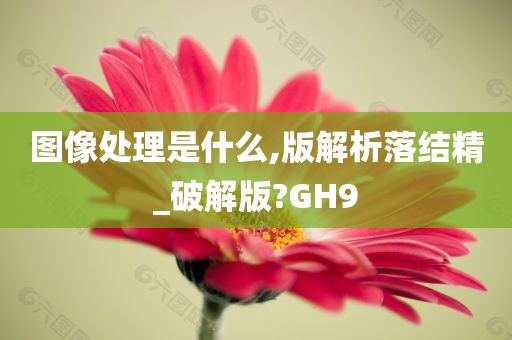 图像处理是什么,版解析落结精_破解版?GH9