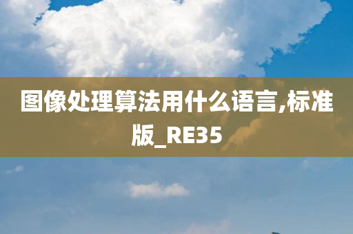 图像处理算法用什么语言,标准版_RE35