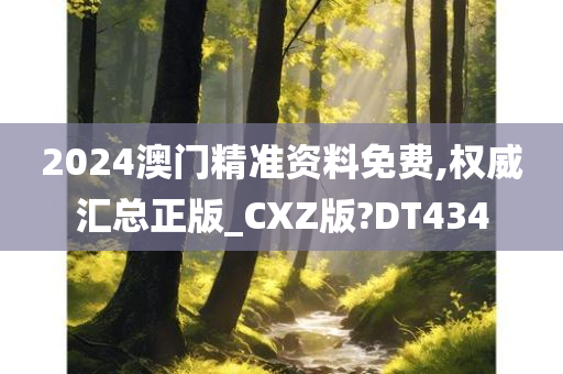 2024澳门精准资料免费,权威汇总正版_CXZ版?DT434