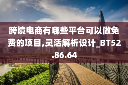 跨境电商有哪些平台可以做免费的项目,灵活解析设计_BT52.86.64