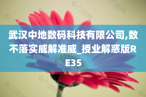 武汉中地数码科技有限公司,数不落实威解准威_授业解惑版RE35