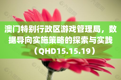 澳门特别行政区游戏管理局，数据导向实施策略的探索与实践（QHD15.15.19）