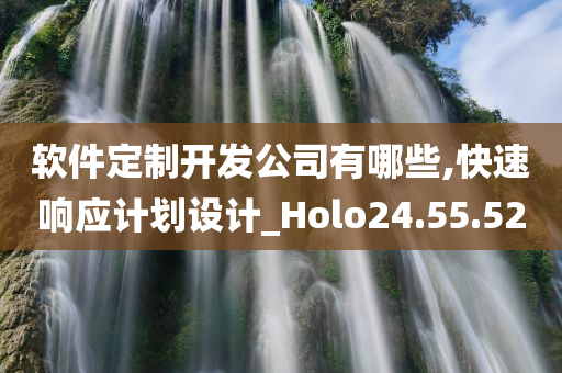 软件定制开发公司有哪些,快速响应计划设计_Holo24.55.52