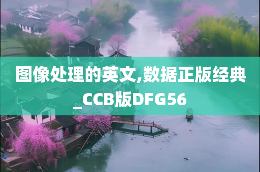 图像处理的英文,数据正版经典_CCB版DFG56