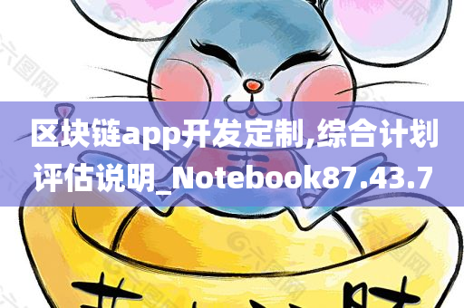 区块链app开发定制,综合计划评估说明_Notebook87.43.70