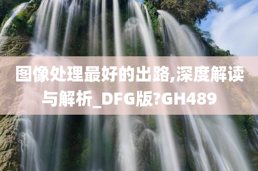 图像处理最好的出路,深度解读与解析_DFG版?GH489