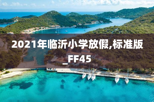 2021年临沂小学放假,标准版_FF45