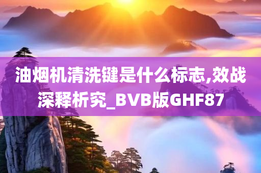 油烟机清洗键是什么标志,效战深释析究_BVB版GHF87