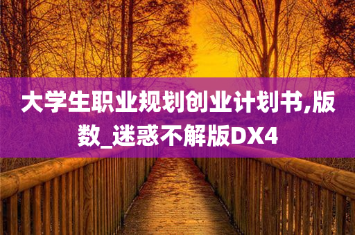 大学生职业规划创业计划书,版数_迷惑不解版DX4