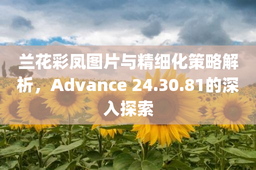 兰花彩凤图片与精细化策略解析，Advance 24.30.81的深入探索