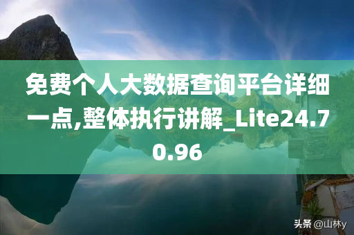 免费个人大数据查询平台详细一点,整体执行讲解_Lite24.70.96