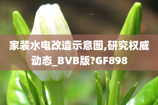 家装水电改造示意图,研究权威动态_BVB版?GF898