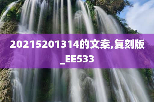 20215201314的文案,复刻版_EE533