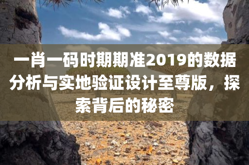 一肖一码时期期准2019的数据分析与实地验证设计至尊版，探索背后的秘密