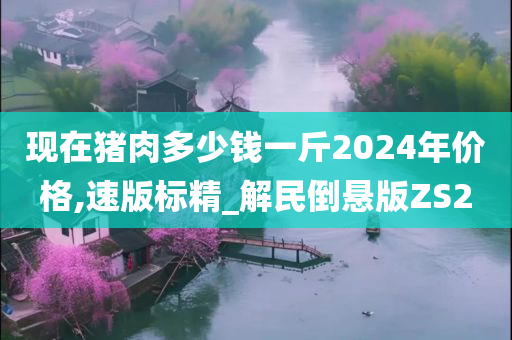 现在猪肉多少钱一斤2024年价格,速版标精_解民倒悬版ZS2