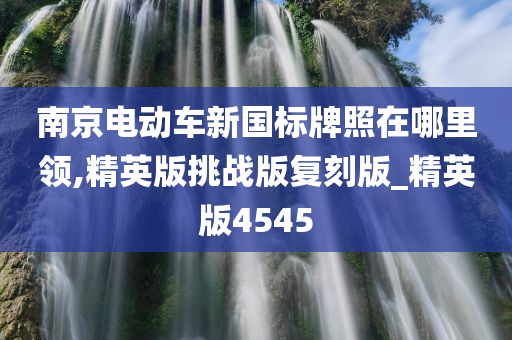 南京电动车新国标牌照在哪里领,精英版挑战版复刻版_精英版4545