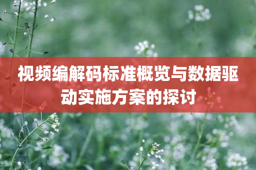 视频编解码标准概览与数据驱动实施方案的探讨