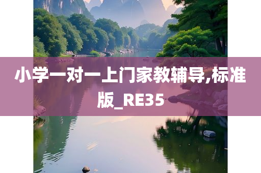 小学一对一上门家教辅导,标准版_RE35