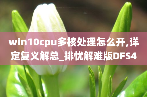 win10cpu多核处理怎么开,详定复义解总_排忧解难版DFS4