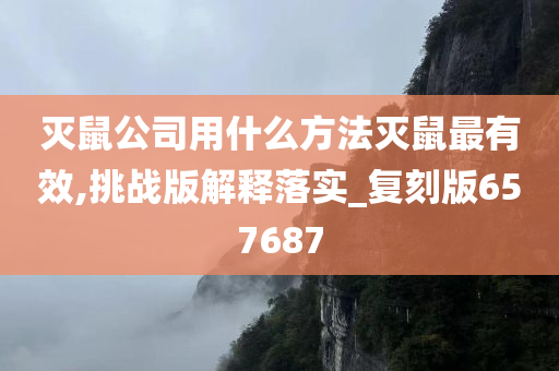 灭鼠公司用什么方法灭鼠最有效,挑战版解释落实_复刻版657687