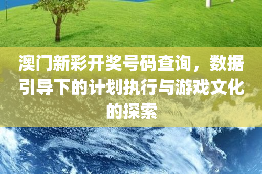 澳门新彩开奖号码查询，数据引导下的计划执行与游戏文化的探索