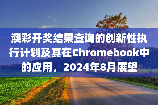 澳彩开奖结果查询的创新性执行计划及其在Chromebook中的应用，2024年8月展望