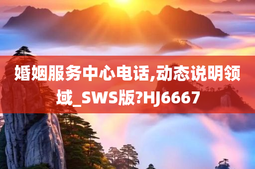 婚姻服务中心电话,动态说明领域_SWS版?HJ6667