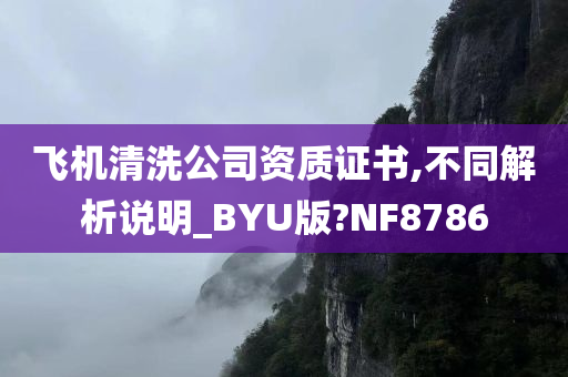 飞机清洗公司资质证书,不同解析说明_BYU版?NF8786